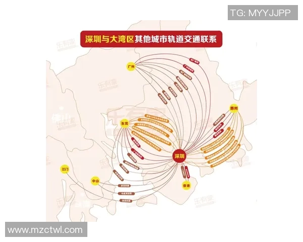 实时新闻深圳乒乓球队技术特点深度解析与其他城市队伍的全面对比